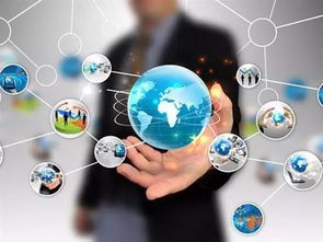 網絡賦能，智慧監管 新區農產品質量安全的新范式